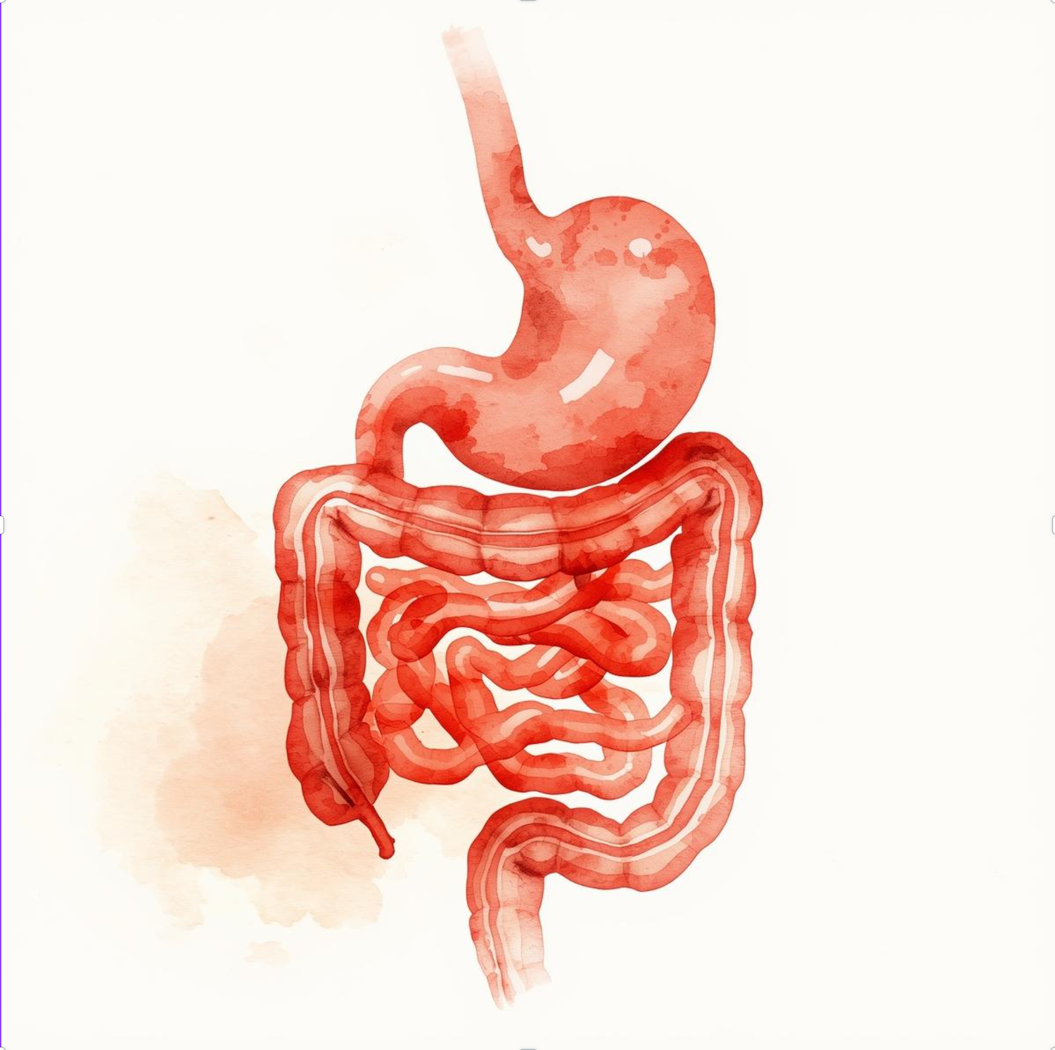 Для желудка и кишечника <br>